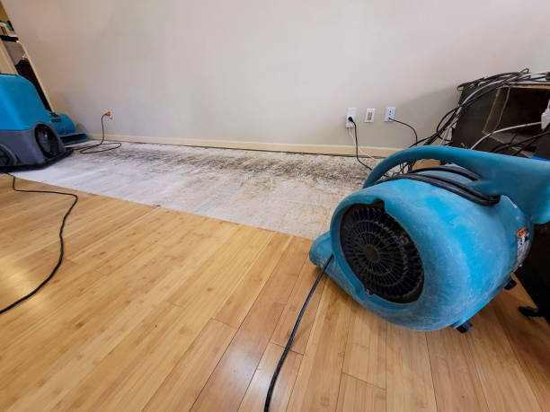 Professional Flood Damage Cleanup technician working in Mattoon, IL